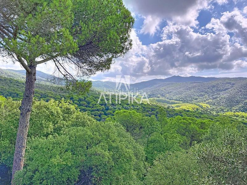 Foto c0f67691-fbe1-48e1-8f4c-821533ea2ce6. Casa amb calefacció aparcament piscina a Canyamars Dosrius