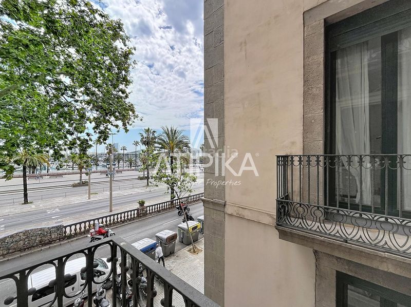 Foto 5363d240-3d55-4fc8-ac06-bd3f4ea7aff1. Pis a Gòtic Barcelona