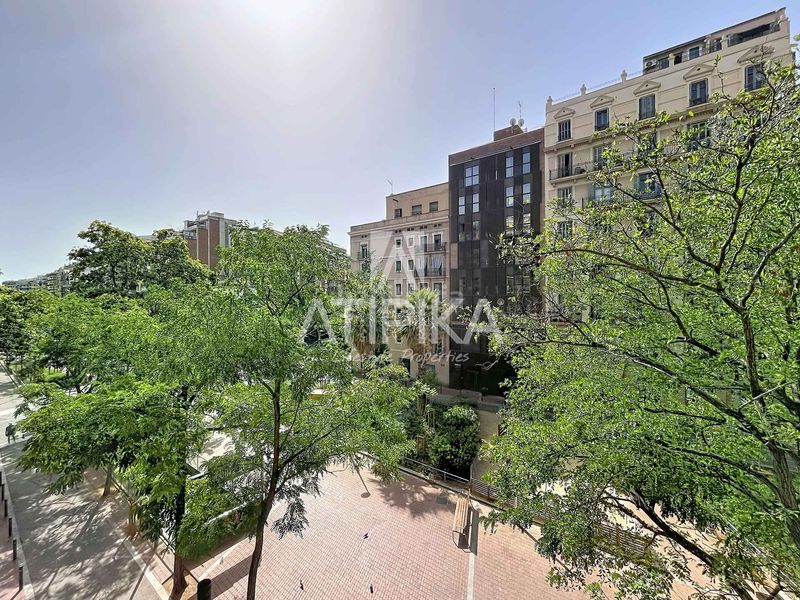 Foto 093c1966-8f08-4283-baf4-3a0754629ea9. Pis a Sant Antoni Barcelona