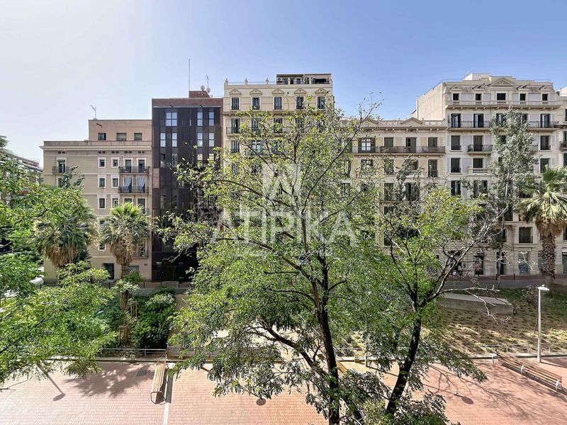 Foto a2176db9-ba47-4636-b7c1-eaf02affd75c. Pis a Sant Antoni Barcelona