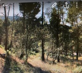 Terrain résidentiel à Castellví de Rosanes. Terreno urbanizable en el taio posibilidad de 2 viviendas