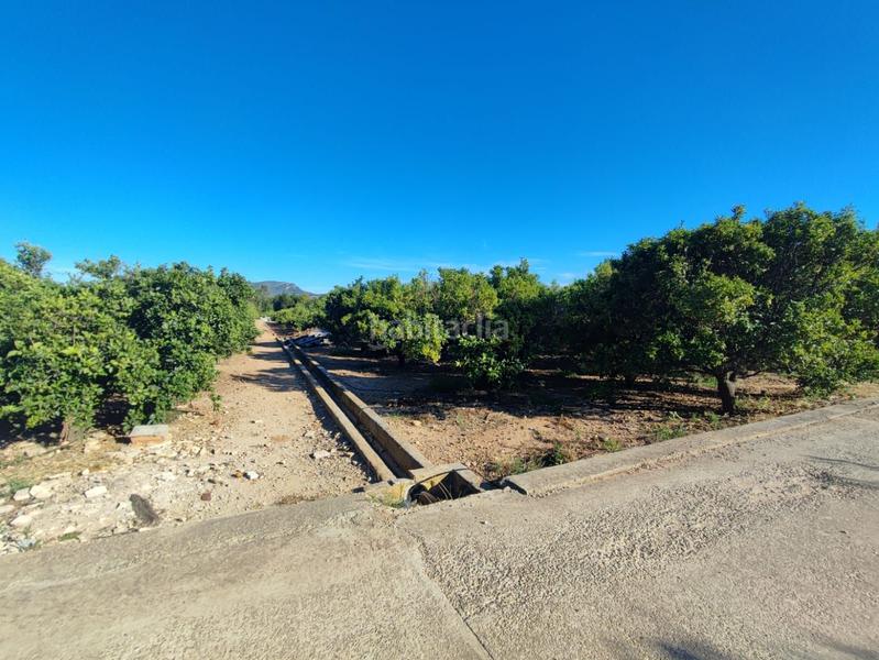 Foto 3c3aad73-fc18-4408-899b-e62eb2603deb. Casa a Centre Alzira