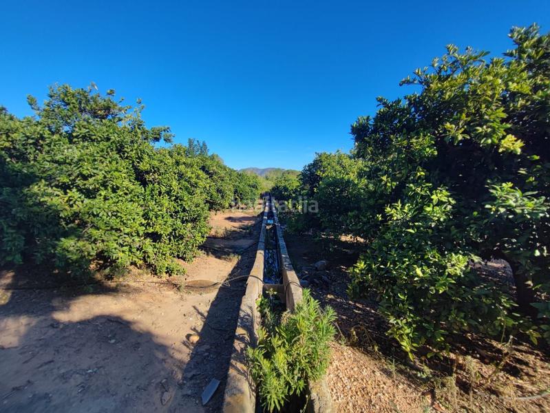 Foto 6945b444-5c09-4c37-95bf-0c97c229a344. Casa a Centre Alzira