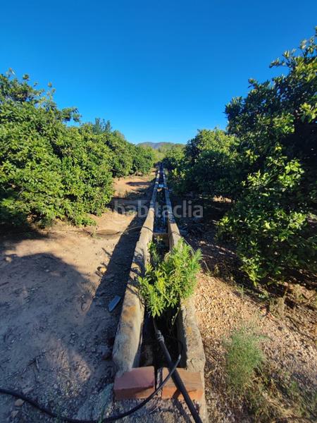 Foto 4a32eb9c-24af-45e8-8648-522320fe52d7. Maison dans Centre Alzira