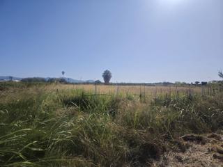 Propriété à Sueca