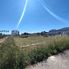 Terreny residencial a Sollana. Terrenos a la venta en sollana