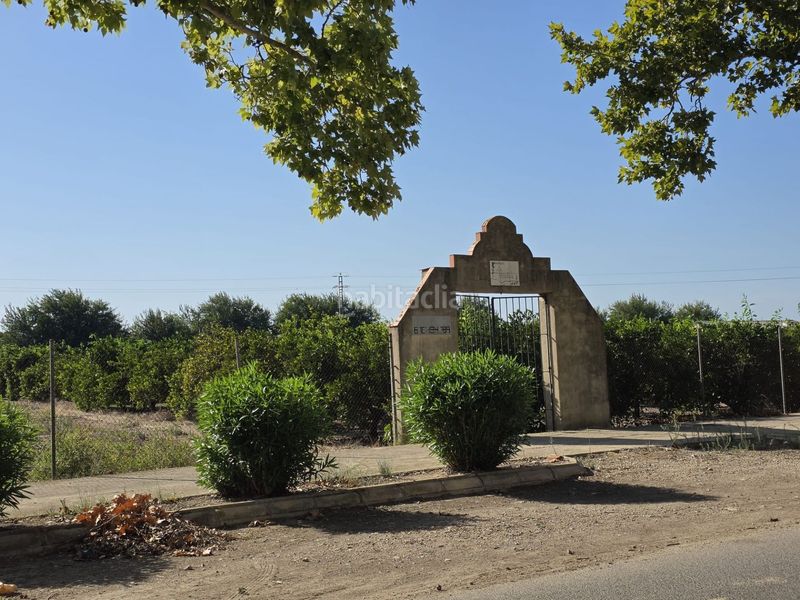 Foto 1152ffdc-9647-4355-9910-0560ea830d8a. Finca rústica a Albalat de la Ribera