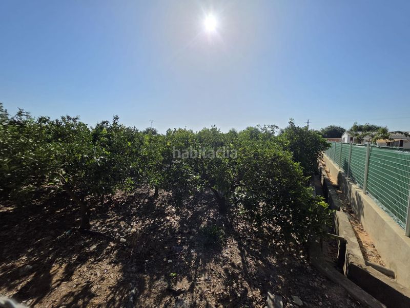 Foto 5855864c-d6ad-4cfb-8ca7-4fe447bb218a. Finca rústica a Albalat de la Ribera