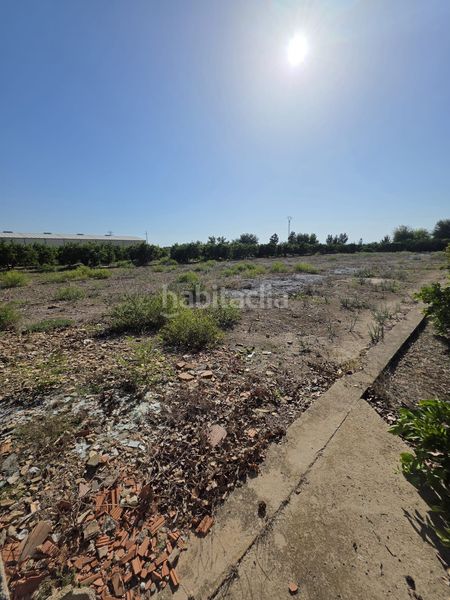 Foto 67f0a154-3d06-4da1-bbbf-1d34d303d37a. Finca rústica a Albalat de la Ribera