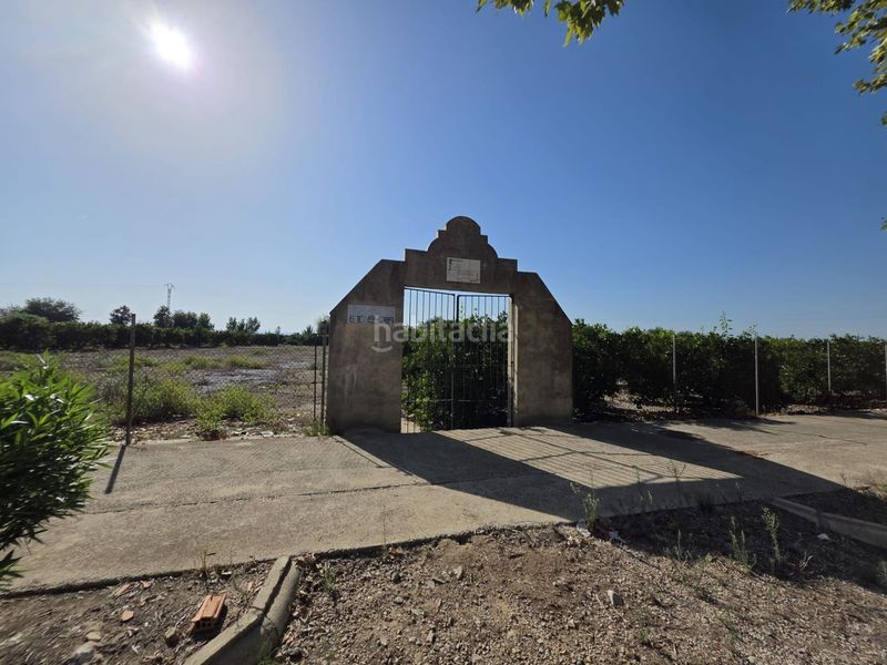 Foto 806d1463-ad79-464e-8930-ba38ea1643e1. Finca rústica a Albalat de la Ribera