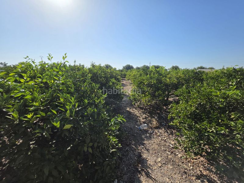 Foto b36adf9d-c26f-4e62-9b2f-8d0f24d24e2f. Finca rústica a Albalat de la Ribera