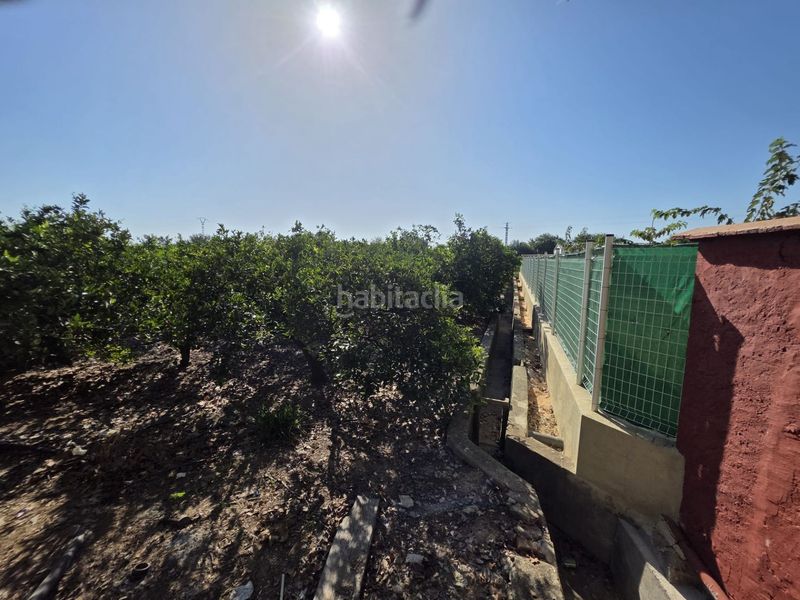 Foto dda22ecf-dbc9-48ef-9131-227af6cf73b0. Finca rústica a Albalat de la Ribera