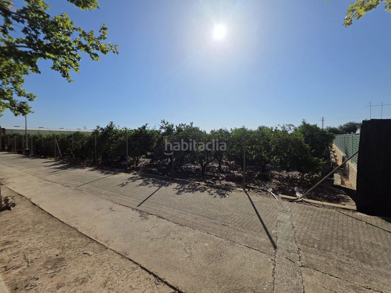 Foto edcd6bd3-e1dd-4990-aa39-c0e26a38e2b2. Finca rústica a Albalat de la Ribera