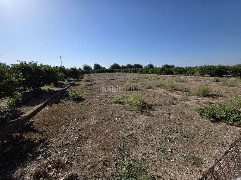 Foto ee2d0df3-ddeb-47f2-aa2f-d851bd1f1019. Finca rústica a Albalat de la Ribera