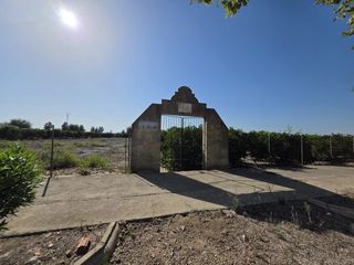 Fondo rustico in Albalat de la Ribera