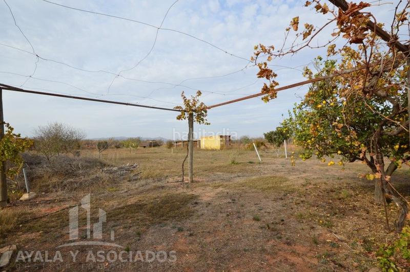 Foto 13133f36-e9f4-4608-9a53-6c0ed54e9687. Casa planta baja en venta con parcela, la magdalena en Cartagena
