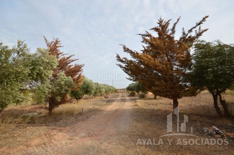 Foto a03d0d7a-bd16-4c94-9a4c-899614dc985a. Casa planta baja en venta con parcela, la magdalena en Cartagena