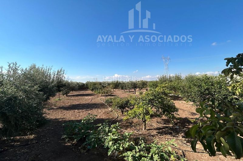Foto 68387f19-8cdb-469a-97be-3a6d5b728c9f. Masía finca rustica en venta, La Puebla en La Puebla Cartagena