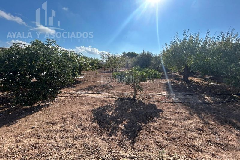 Foto de6829fc-6f7a-47a1-8f59-b3db766d4aca. Masía finca rustica en venta, La Puebla en La Puebla Cartagena