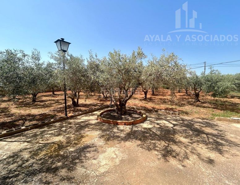 Foto 742f5096-f79a-4c86-88b6-904a782b8d25. Masía finca rustica en venta, paraje los navarros (La Aljorra) en Cartagena