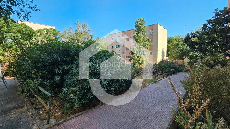 Foto 6a1aaacc-3ed9-4736-80f5-e0fc213af79b. Pis a La Guineueta Barcelona