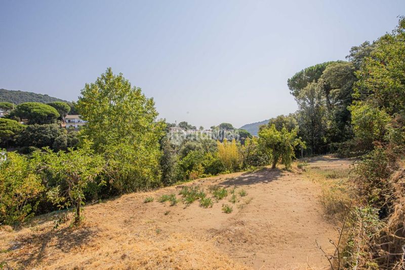 Foto 4519e099-8278-4064-8477-6831349b31d9. Casa a Niàgara Parc -Àgora Parc Tordera