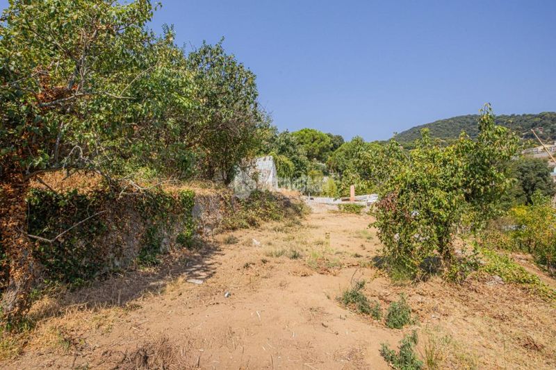 Foto 847a003f-d905-4197-b6c4-92b0d87086af. Casa a Niàgara Parc -Àgora Parc Tordera