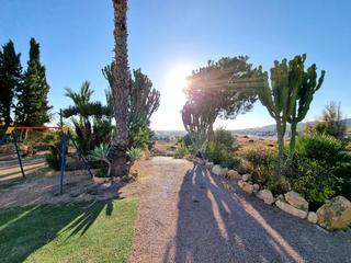 Finca rstica en Carrer els ports 26. Venta de 2 parcelas urbanizables en coveta fum - l'almerador -