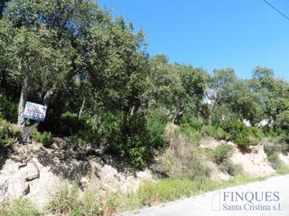 Finca rústica a Volta de l´arboç 241. Terreno en venta en santa cristina daro.