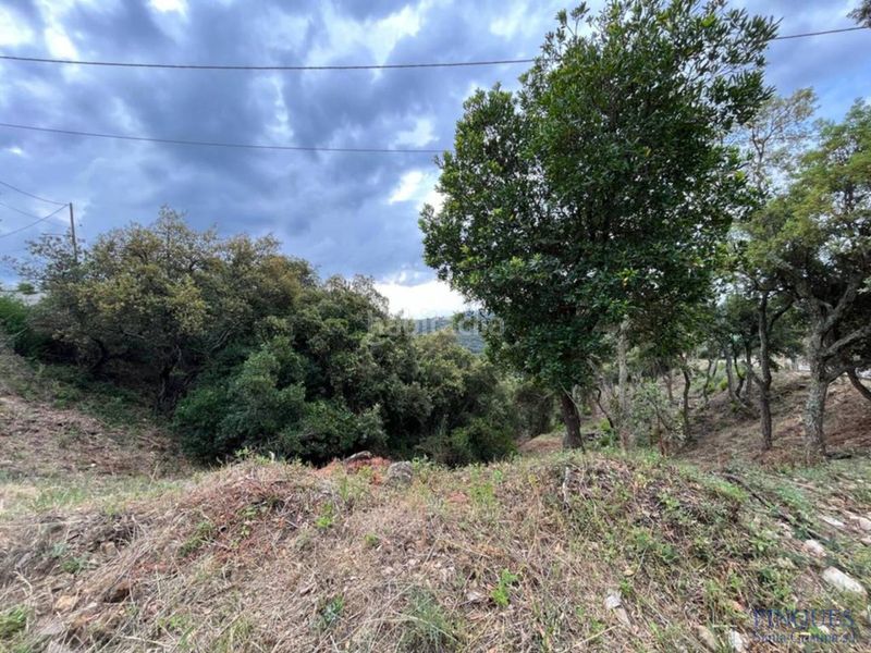 Foto 03dd2a37-2f11-4fe7-a656-9e083f69f1d5. Wohngrundstück in sant miquel d´aro 1 in Urbanitzacions del Nord Santa Cristina d´Aro
