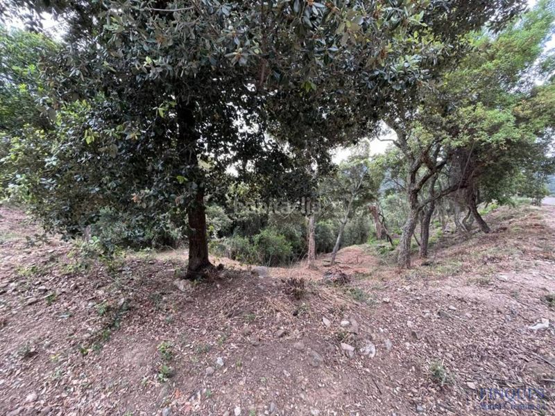 Foto b9d96495-65cb-4f46-8715-3cfc74d8ae1c. Wohngrundstück in sant miquel d´aro 1 in Urbanitzacions del Nord Santa Cristina d´Aro