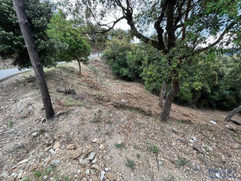 Foto bb3b1f81-a3e7-4634-b534-ce4ee9bfa15c. Wohngrundstück in sant miquel d´aro 1 in Urbanitzacions del Nord Santa Cristina d´Aro