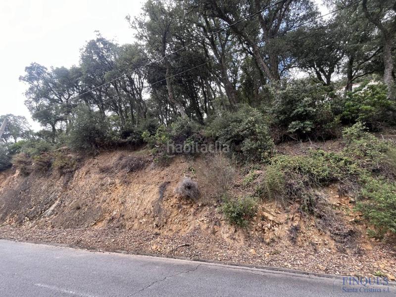 Foto 388bfbc4-ee67-4b59-b24f-3964c549bcaf. Terreno residencial santa cristina daro, parcela edificable en Santa Cristina d´Aro