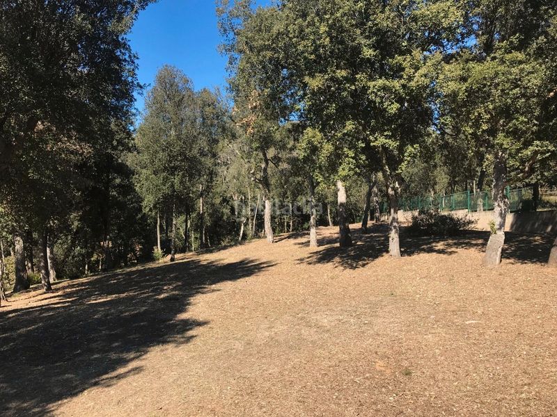 Foto 206b8d54-08a4-4ad8-a533-8e361c81435b. Terreno residencial para edificar en Sant Gregori