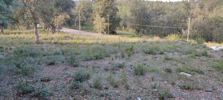 Terrain rsidentiel dans Carrer del baix llobregat 805. Solar en mas lluns
