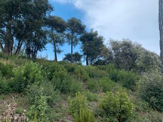 Terreny residencial a Palafolls. Terreno con proyecto