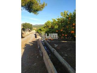 Chalet  Sagunto. Ref   28207chalet diafano en venta en sagunto, de 70 m, piscina,