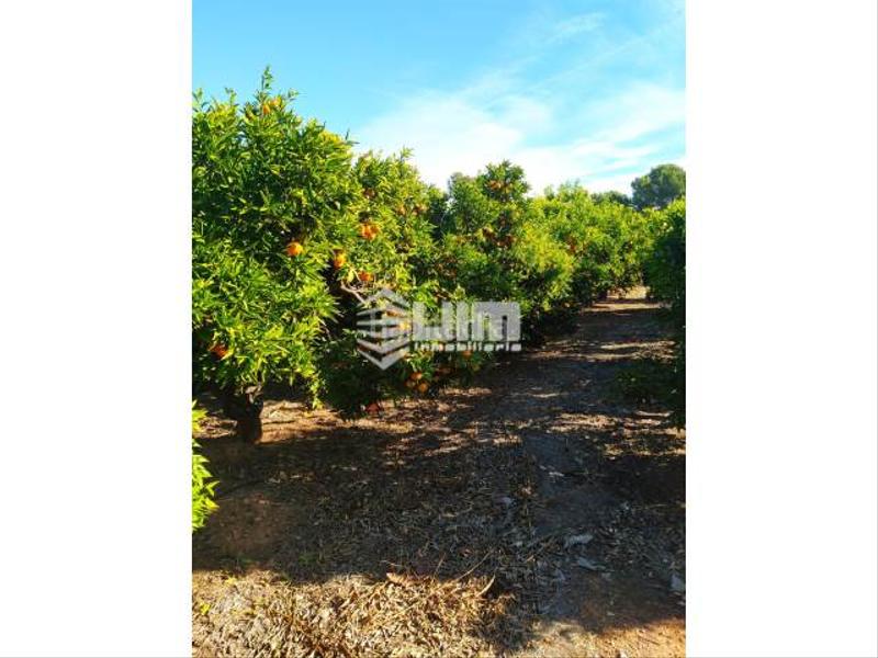 Foto cb3e2f80-db94-45dd-9c16-bc7b21e178e0. Masía ref 28207terreno con casa diafano en venta o, de 70 m, piscina, jardín, de 15400 m, zona monte, casa de aperos de 70m2 en Sagunt
