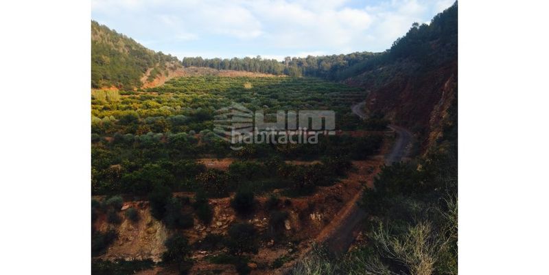 Foto a26255b3-0ae2-4c59-a7ae-76a07c32251d. Xalet a Nuevo Centro Sagunt