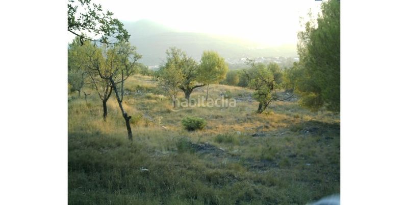 Foto d641f2cf-42ab-4975-bd82-59f9c09ad76f. Terreny residencial a Estivella