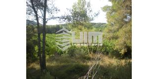 Bauernhof  El tochar. Ref   28517terreno con casa para reformar en venta en algimia de