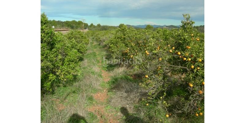 Foto 86c06e74-3f99-4499-9c39-9a822b302b1c. Terreno residenziale in Gilet