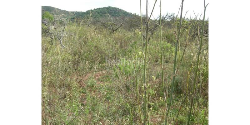 Foto b237e721-7b64-48f1-bb15-78505d780feb. Terreno residenziale in Gilet