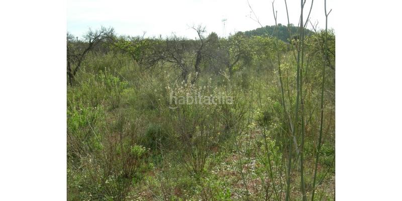 Foto d969a543-3bb6-4d37-be82-dbf36ab320ca. Terreno residenziale in Gilet