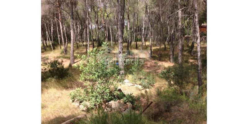 Foto 2c11e9d1-6511-4844-9ae9-3fd87b8e7cb6. Terreno residenziale in Antiga Moreira Sagunt