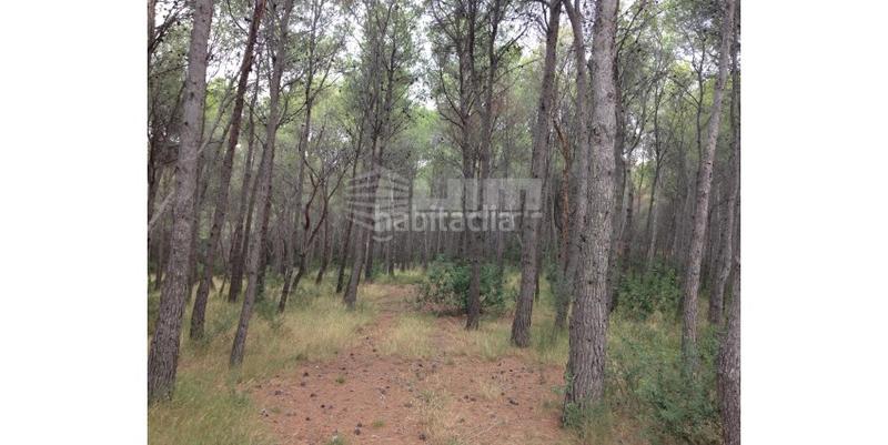 Foto 68c64e5c-c594-486c-b154-183028e17c26. Terreno residenziale in Antiga Moreira Sagunt