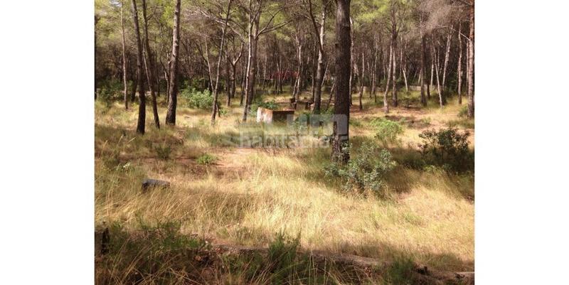 Foto bc190230-02e1-408a-a03e-e314c8a2cc8d. Terreno residenziale in Antiga Moreira Sagunt