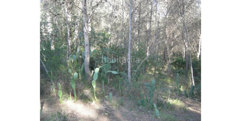 Foto 338bb47b-deaf-426a-8f89-3c5deea89cb4. Terreny residencial a Avenida de Abril-9 de Octubre Sagunt