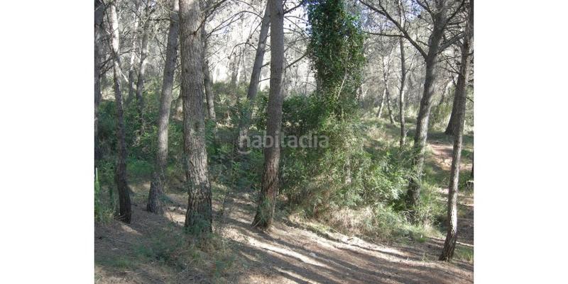 Foto 3a2e8a21-e6ad-4478-85ef-aa320c991cd8. Terreny residencial a Avenida de Abril-9 de Octubre Sagunt