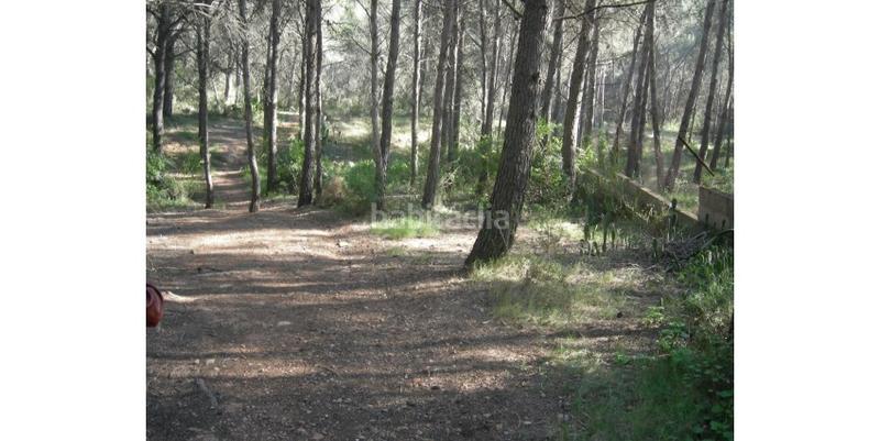 Foto 972a69d4-5c80-4008-8103-489f806bc434. Terreny residencial a Avenida de Abril-9 de Octubre Sagunt